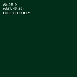 #012E19 - English Holly Color Image