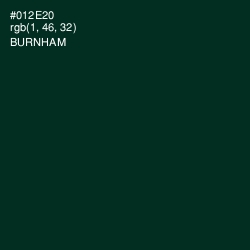 #012E20 - Burnham Color Image