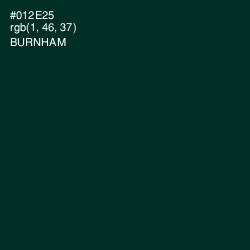 #012E25 - Burnham Color Image