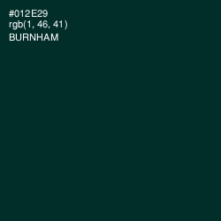 #012E29 - Burnham Color Image