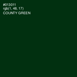 #013011 - County Green Color Image