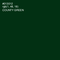 #013012 - County Green Color Image