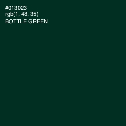 #013023 - Bottle Green Color Image