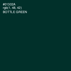 #01302A - Bottle Green Color Image