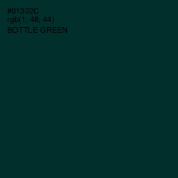 #01302C - Bottle Green Color Image