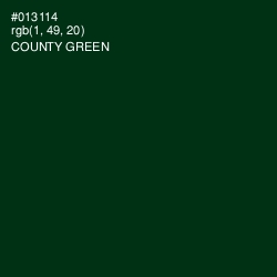 #013114 - County Green Color Image