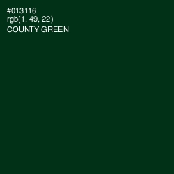 #013116 - County Green Color Image