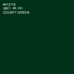 #013118 - County Green Color Image