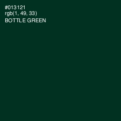 #013121 - Bottle Green Color Image