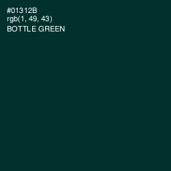 #01312B - Bottle Green Color Image