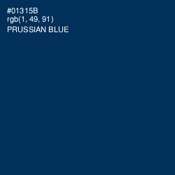 #01315B - Prussian Blue Color Image