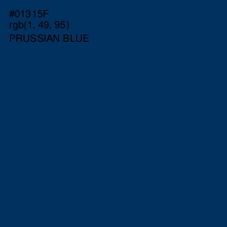 #01315F - Prussian Blue Color Image