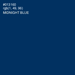 #013160 - Midnight Blue Color Image