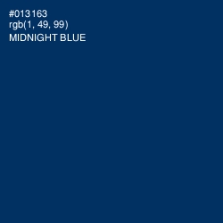 #013163 - Midnight Blue Color Image