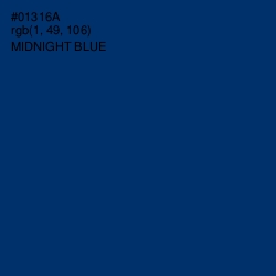 #01316A - Midnight Blue Color Image