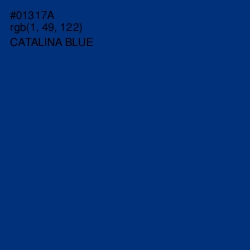 #01317A - Catalina Blue Color Image