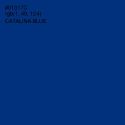 #01317C - Catalina Blue Color Image