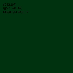 #01320F - English Holly Color Image