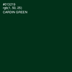 #013219 - Cardin Green Color Image