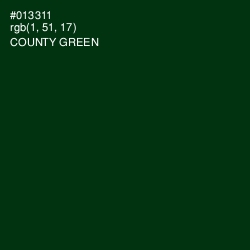 #013311 - County Green Color Image