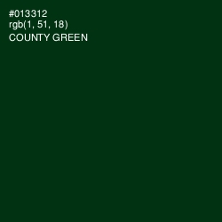 #013312 - County Green Color Image