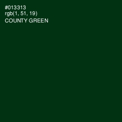 #013313 - County Green Color Image