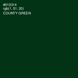 #013314 - County Green Color Image