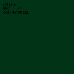 #013316 - County Green Color Image