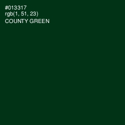 #013317 - County Green Color Image