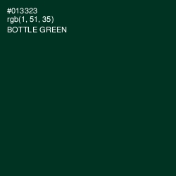 #013323 - Bottle Green Color Image