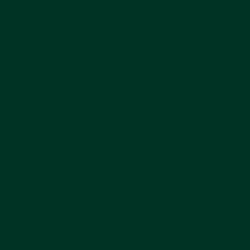 #013324 - Bottle Green Color Image