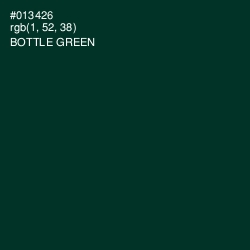 #013426 - Bottle Green Color Image