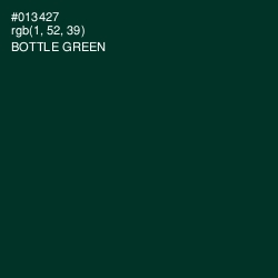 #013427 - Bottle Green Color Image