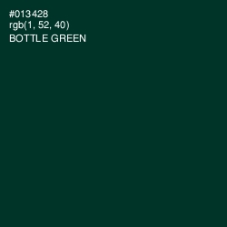 #013428 - Bottle Green Color Image