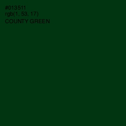 #013511 - County Green Color Image