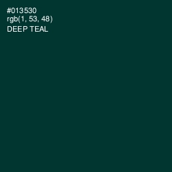 #013530 - Deep Teal Color Image