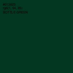 #013623 - Bottle Green Color Image