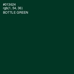 #013624 - Bottle Green Color Image