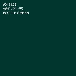 #01362E - Bottle Green Color Image