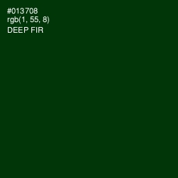 #013708 - Deep Fir Color Image