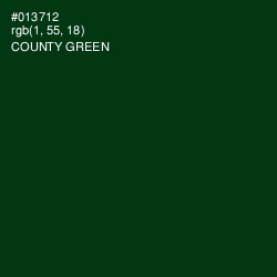 #013712 - County Green Color Image