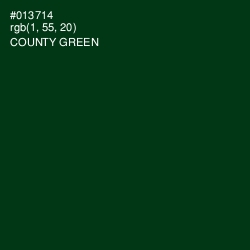 #013714 - County Green Color Image