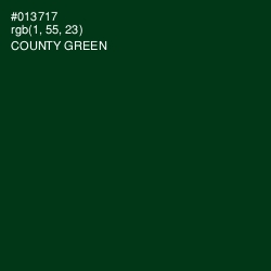 #013717 - County Green Color Image