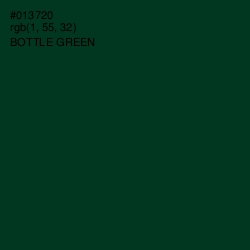 #013720 - Bottle Green Color Image