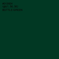 #013824 - Bottle Green Color Image