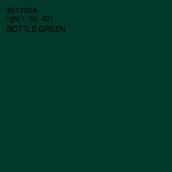 #01382A - Bottle Green Color Image