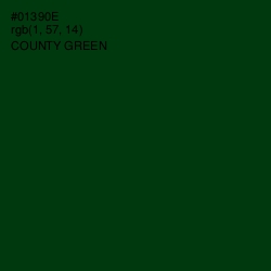 #01390E - County Green Color Image