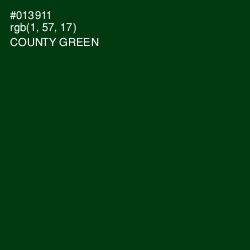 #013911 - County Green Color Image