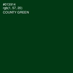 #013914 - County Green Color Image