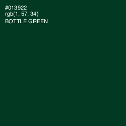 #013922 - Bottle Green Color Image